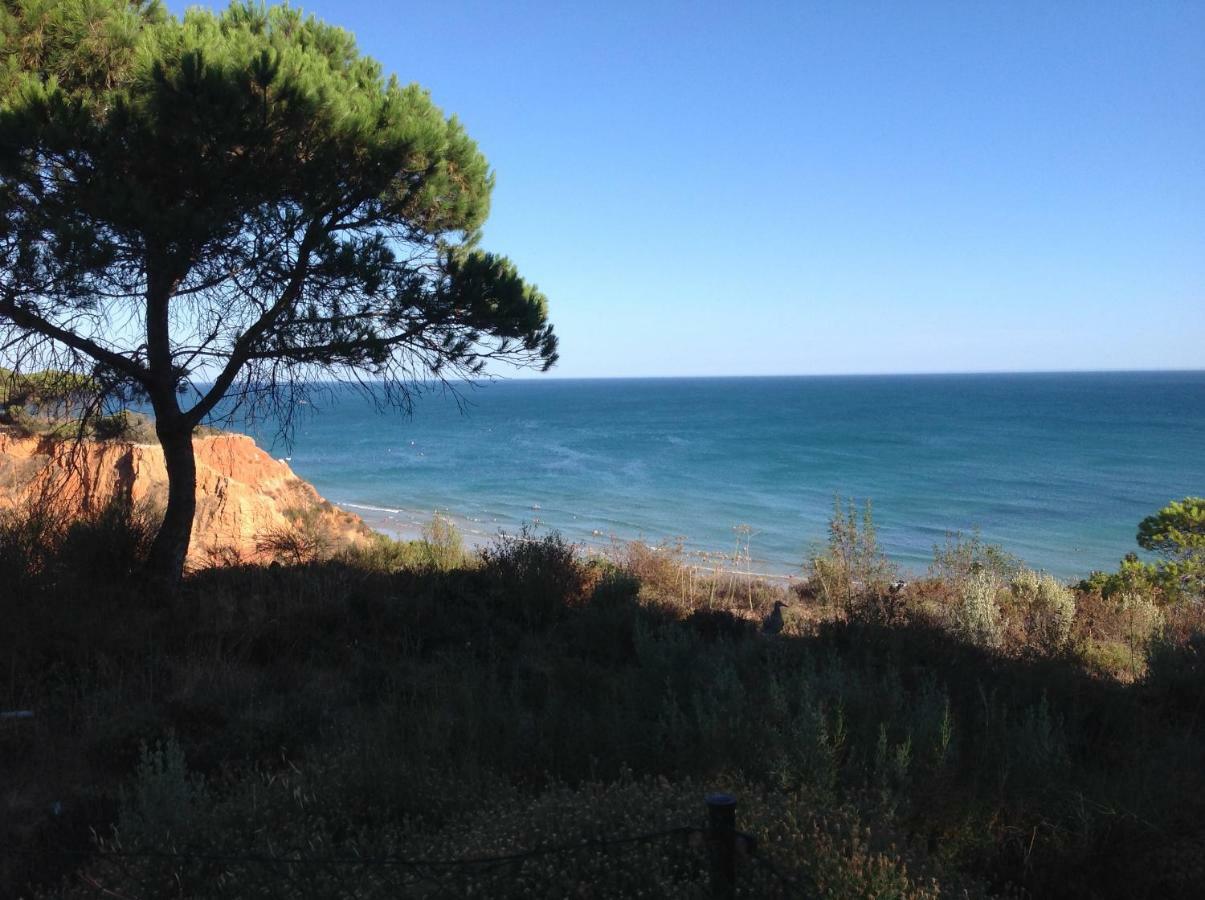 Sailing Studio Acoteias Albufeira Exterior foto